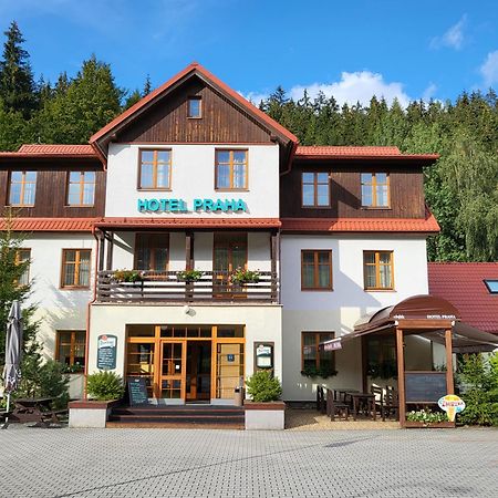 Hotel Praha Дештне в Орлицких горах Экстерьер фото